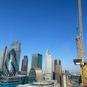 What Cranes do we offer?