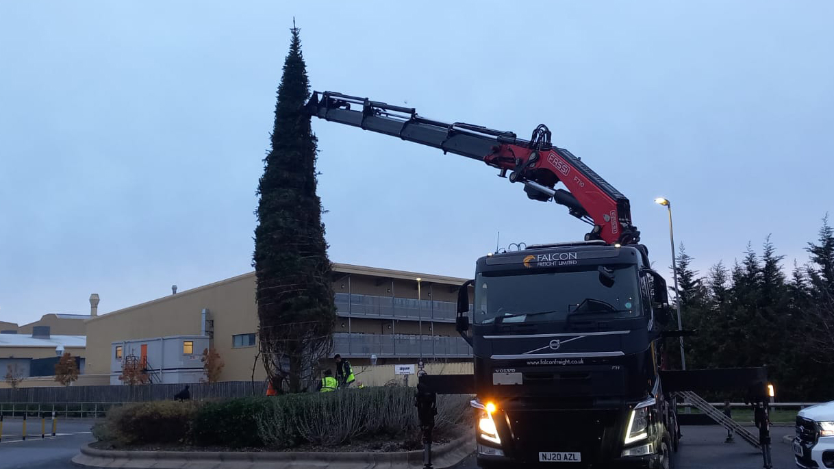 Hiab Delivering Christmas Tree